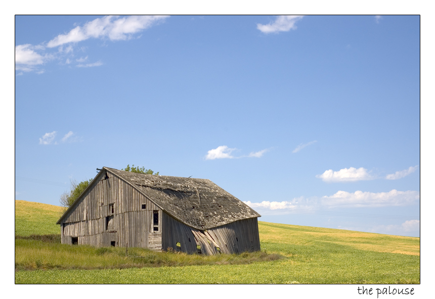 the palouse