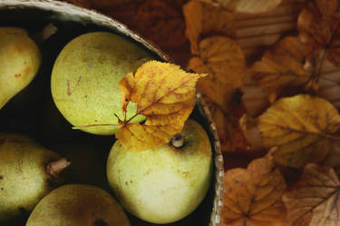 autumn fruits