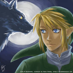 Twilight Link