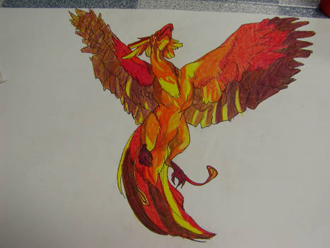 Fawkes the Phoenix