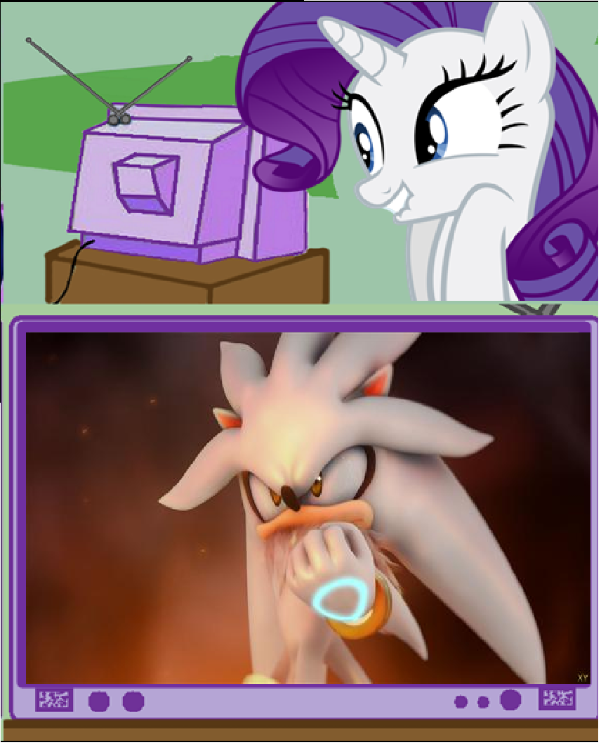 Rarity likes Silver the hedgehog.