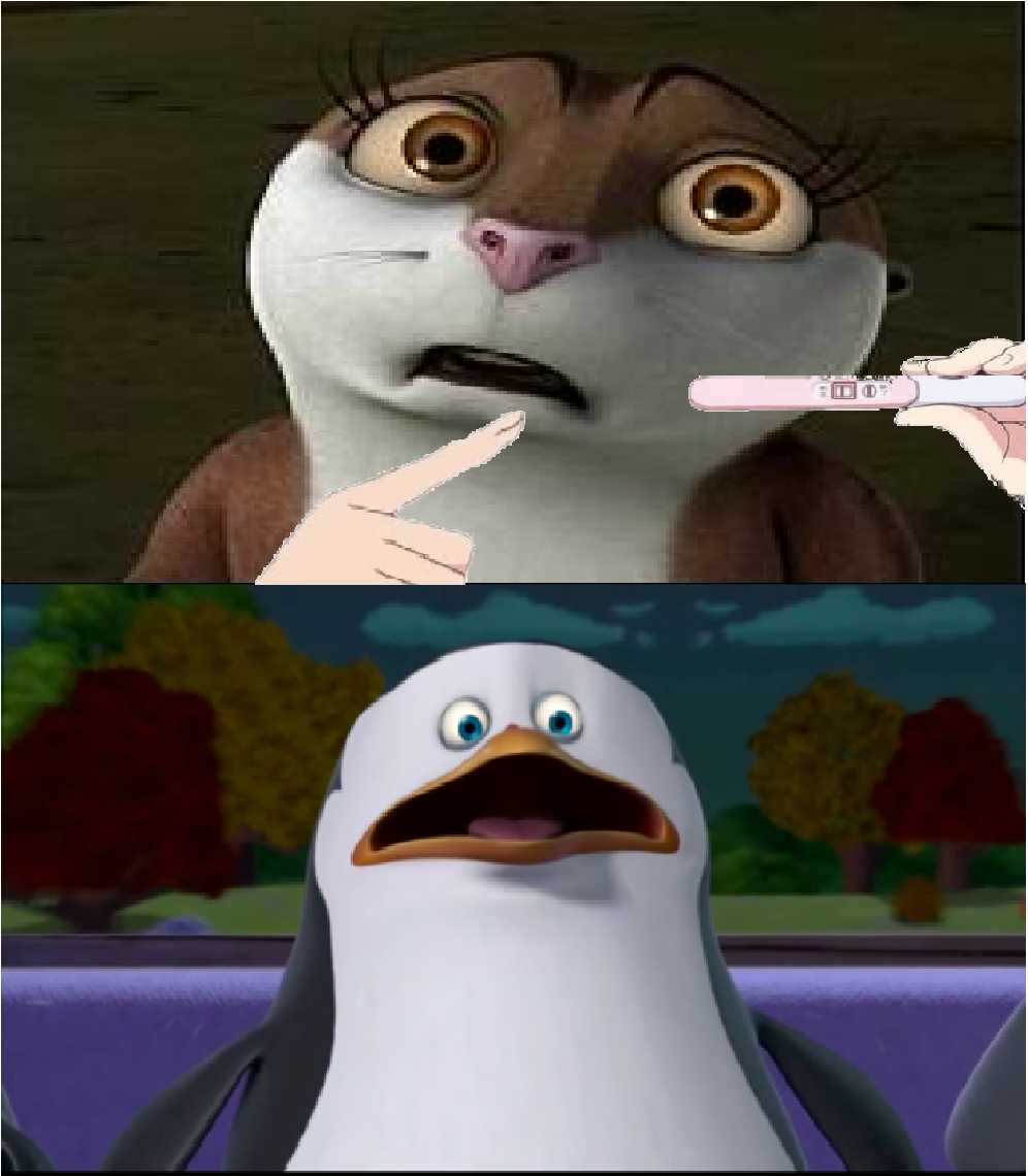 Skipper X Marlene Pregnancy Test Meme By Brandonale On Deviantart Skipper X Marlene Pregnancy Test Meme By Brandonale On Deviantart