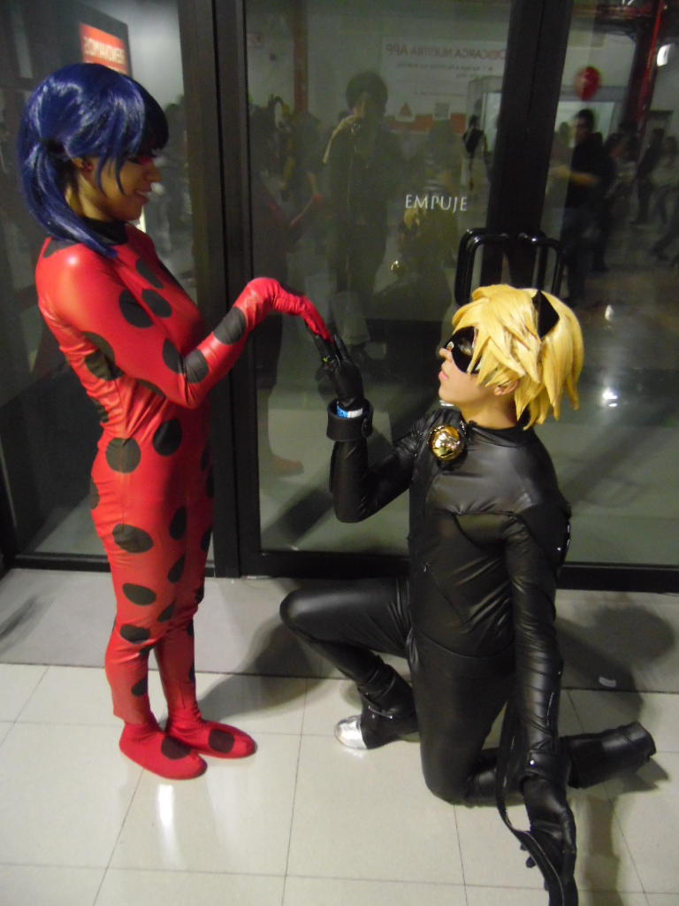 Hot porno - Miraculous ladybug chat noir cosplay Porn tube 2020 Fuck you rocky top