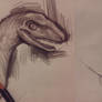 Velociraptor Study