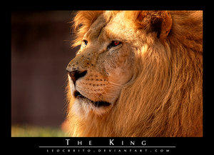 The King by Leocbrito