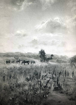 Horses in meadow