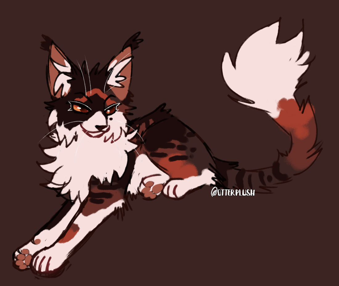 Kittens Sol sol design (warrior cats) by yamperplush on DeviantArt