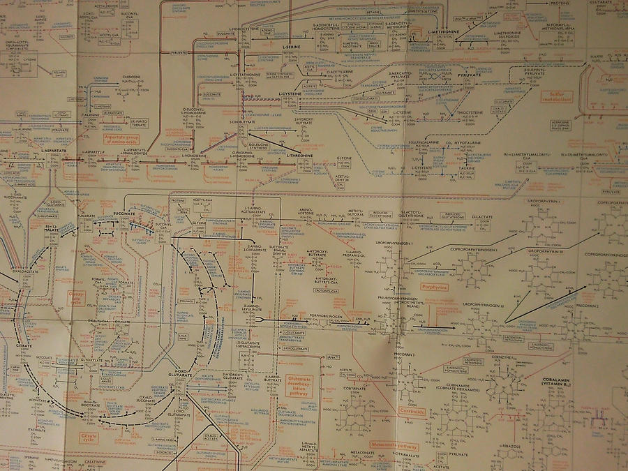 The complicated graph by Buberus on DeviantArt