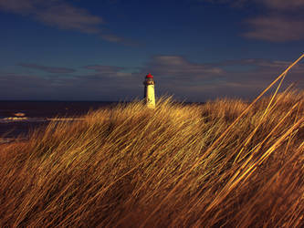 Golden Talacre