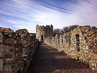 Conwy Wall