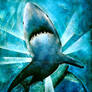 billy the shark