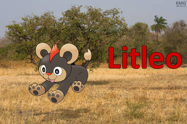 Litleo