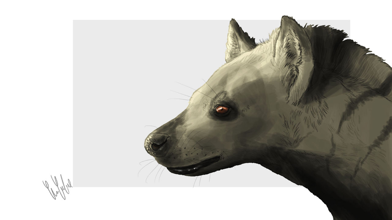 Chasmaporthetes by Iofryy on DeviantArt