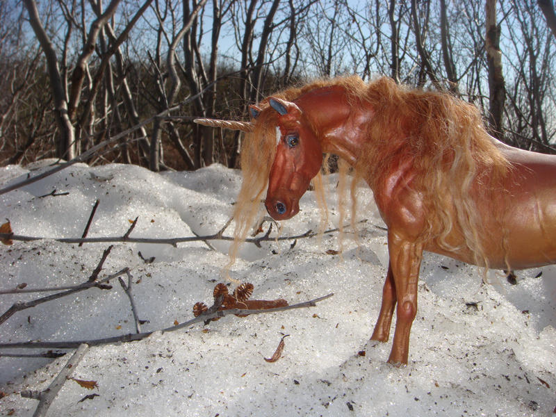 Chestnut Unicorn Mare