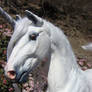 New Dapple Gray Unicorn Stallion