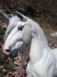 New Dapple Gray Unicorn Stallion