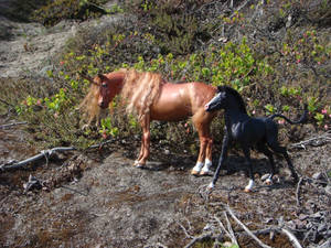 Mare and Foal