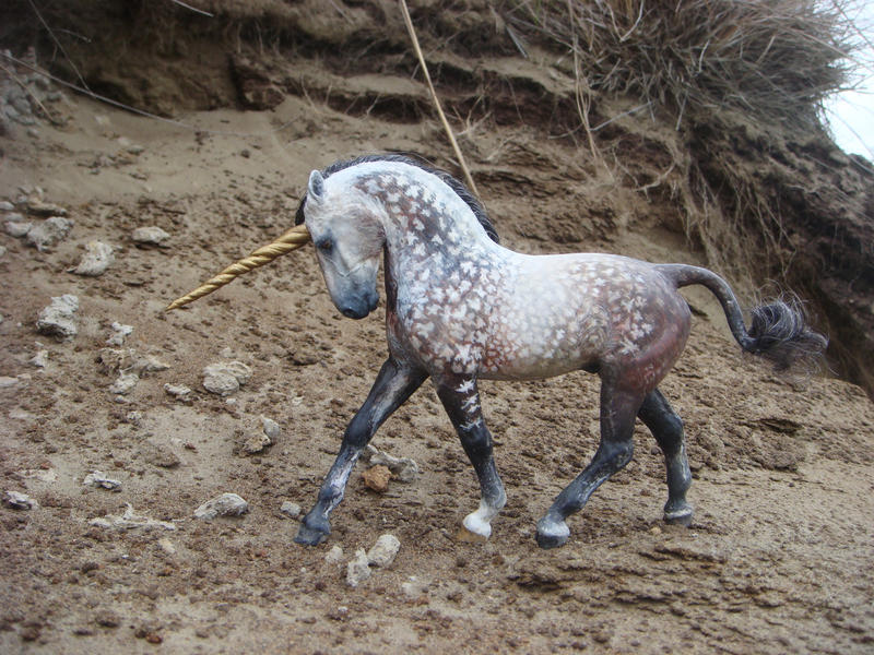 _Andalusian Unicorn_