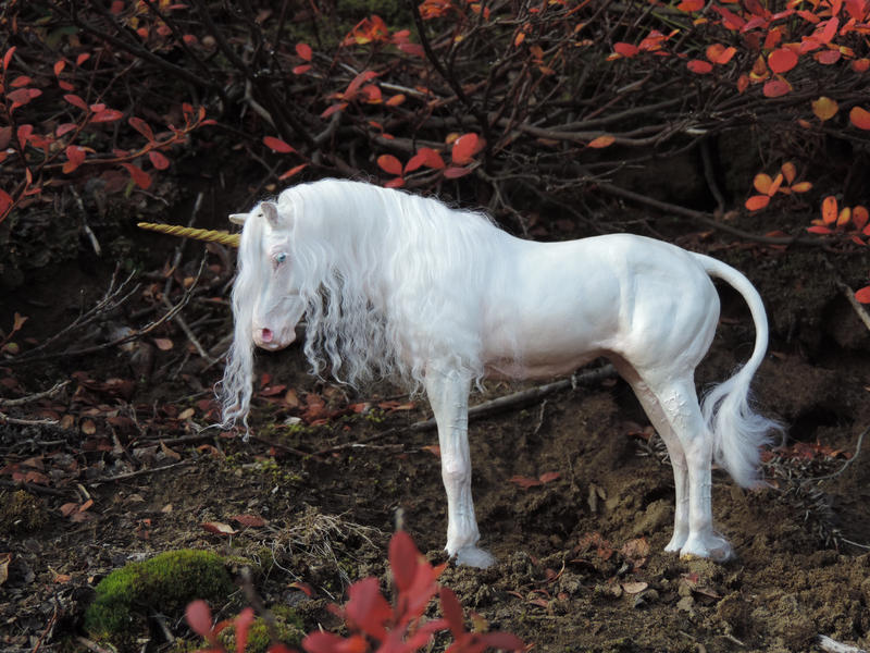 _White Unicorn Mare_