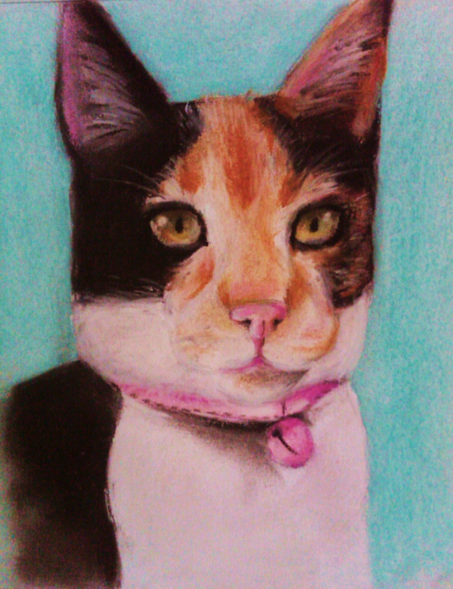 Poppy the Calico Cat