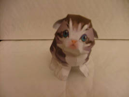 paper kitten 1