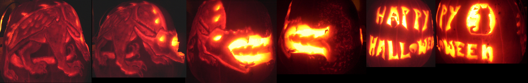 Pumpkin 2004