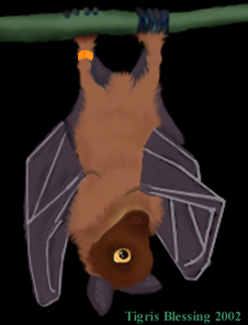 flying fox bat