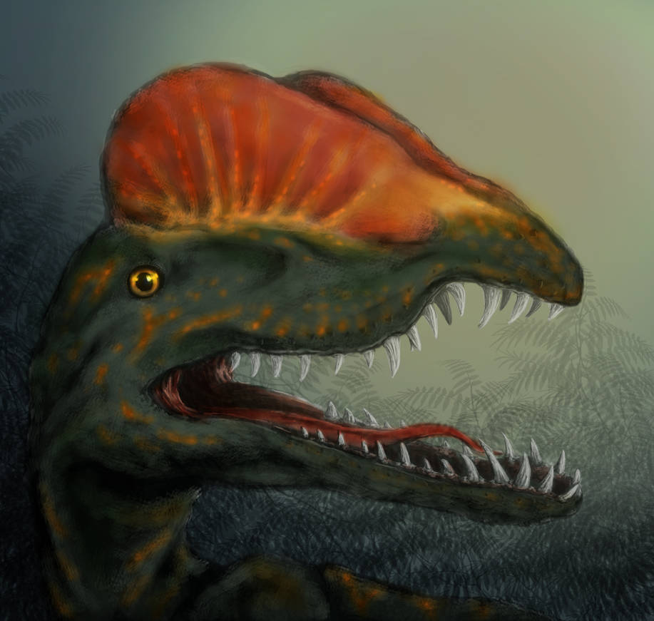 Dilo by kawa-rimono on DeviantArt
