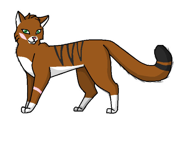 Tigerheart Part Of Fireclan Warrior Wild Cats By FNaF LOVER 2003 On tigerheart-part-of-fireclan-warrior-wild-cats-by-fnaf-lover-2003-on
