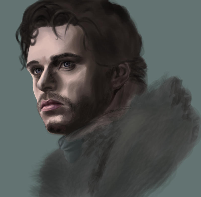 Robb Stark WIP