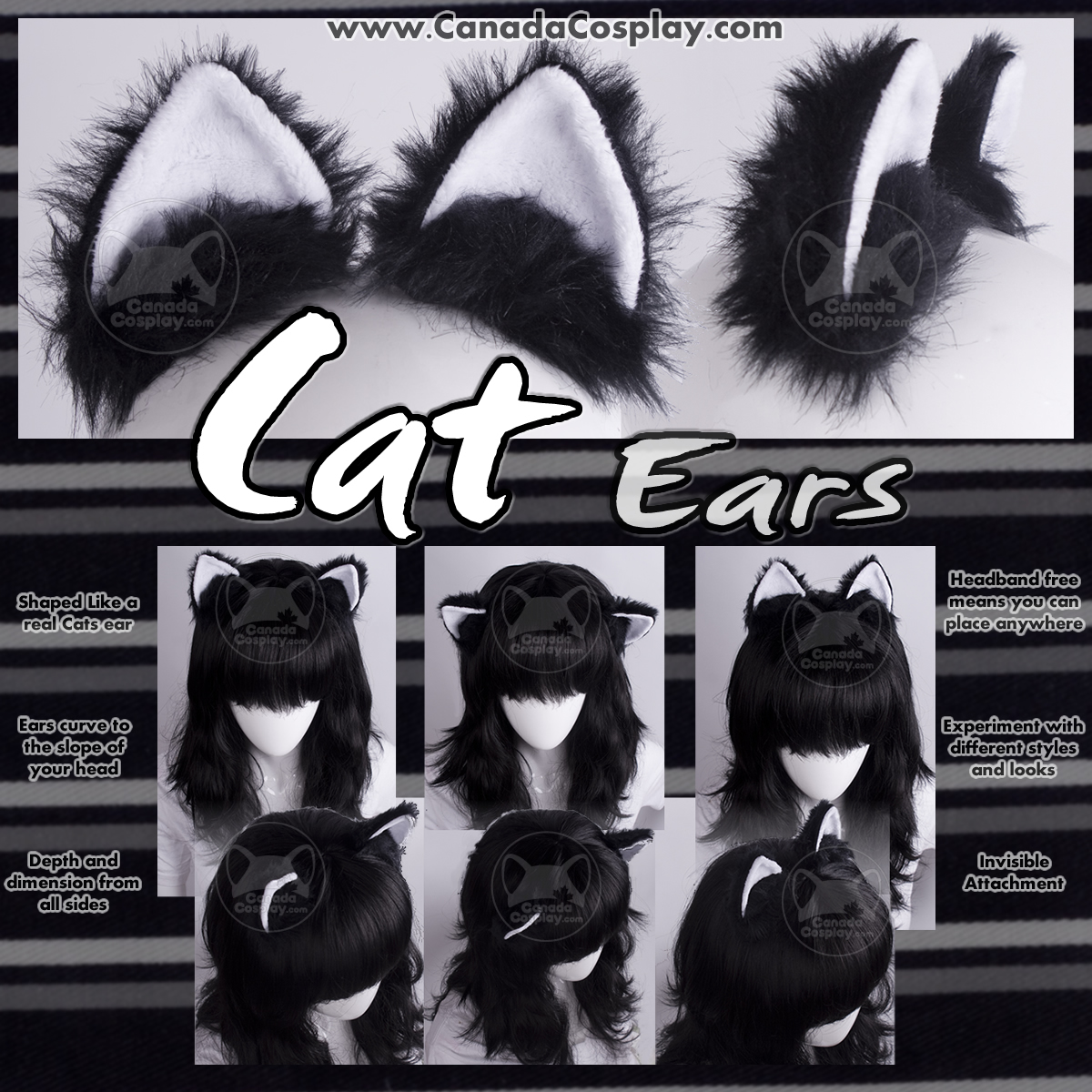 Cat Ears in Black and White