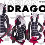 Asian Dragon Hoodie