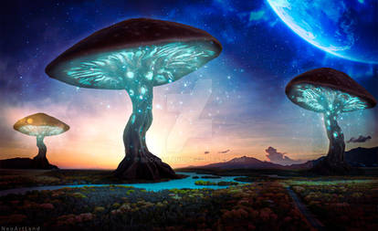 Massive Mushrooms - Photoshop Art