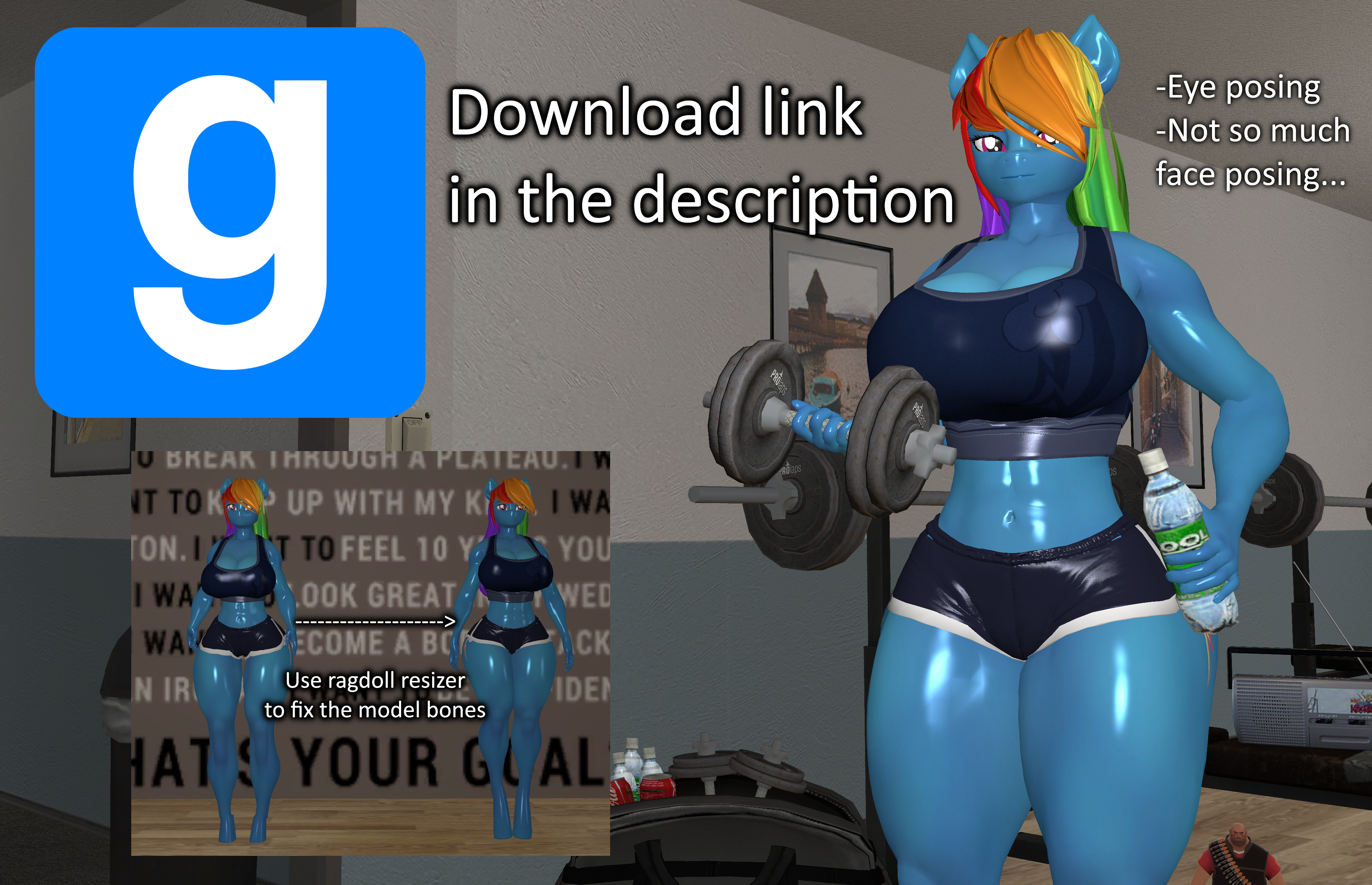 Dashie - model download