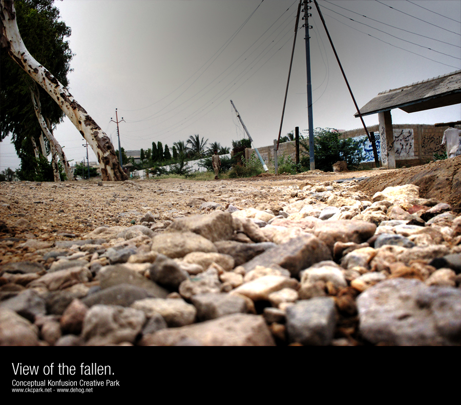 View of the fallen.