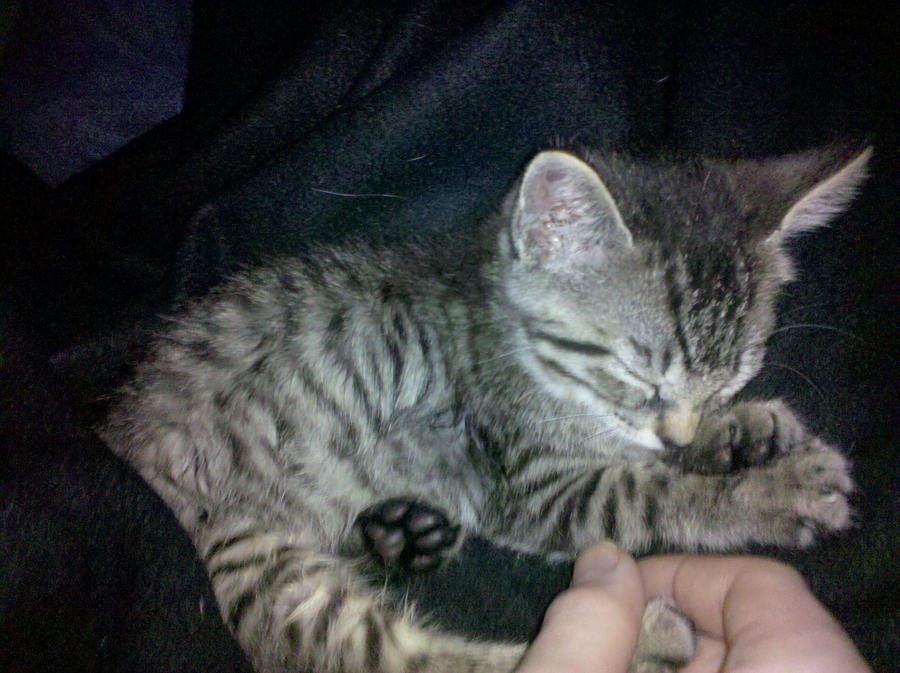 Baby Java by LleMond89 on DeviantArt