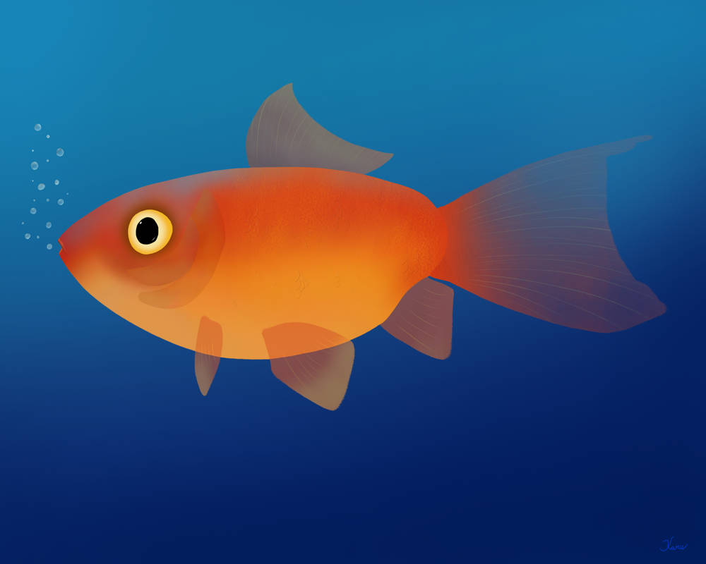 Deviantart 2007 Goldfish Goldfish by KaruDraws1 on DeviantArt