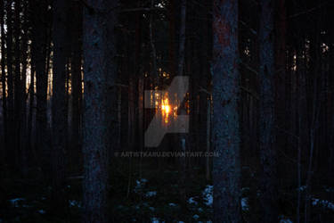 Shining through trees