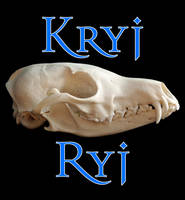 Kryj Ryj