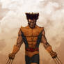 WOLVERINE WEDNESDAY - 12