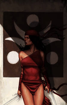 ELEKTRA ASSASSIN