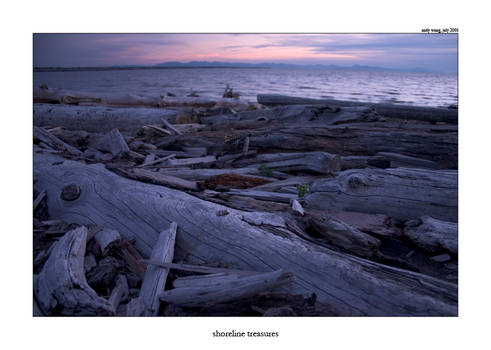 Shoreline Treasures