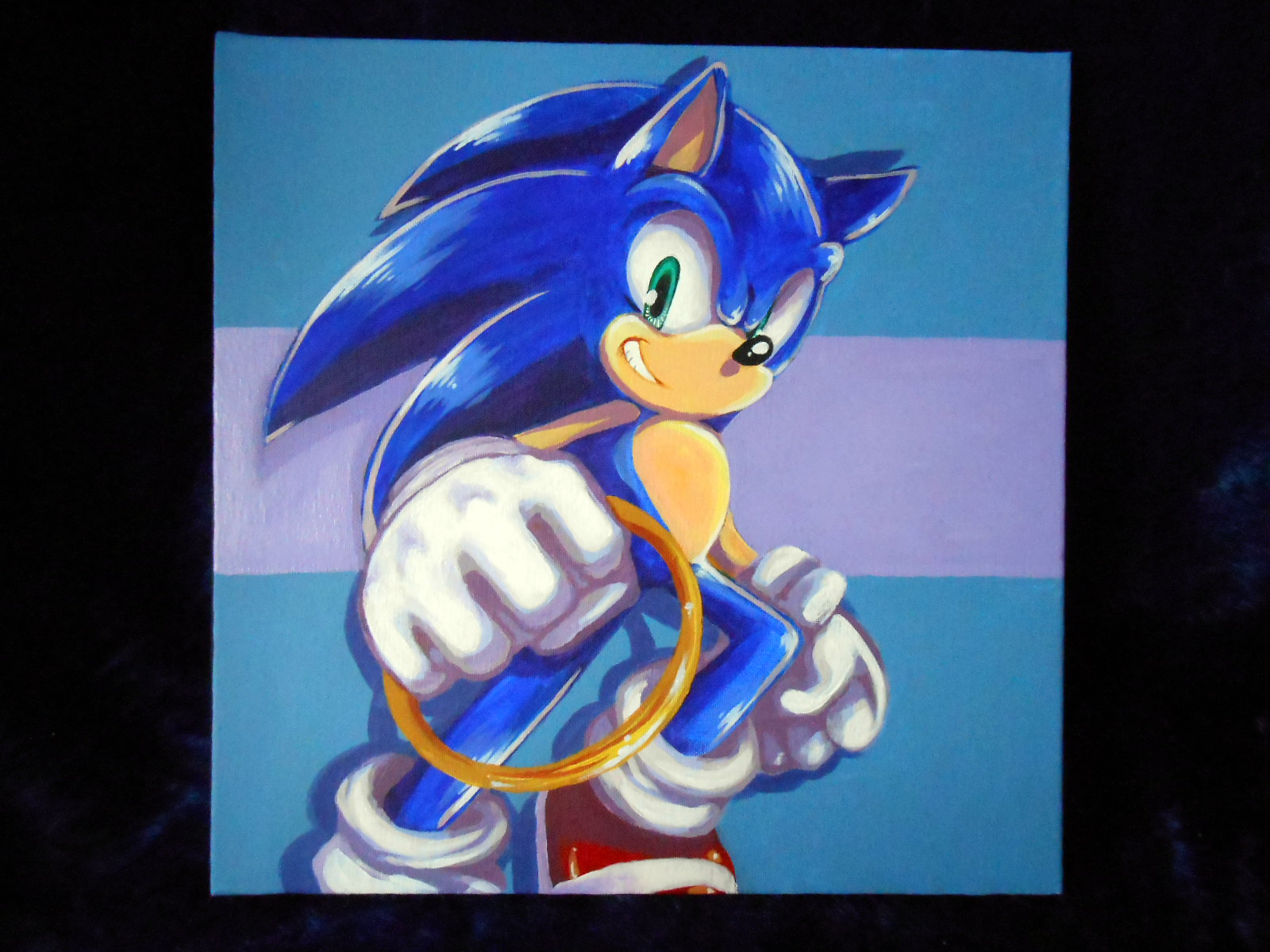 Sonic The Hedgehog_Canvas