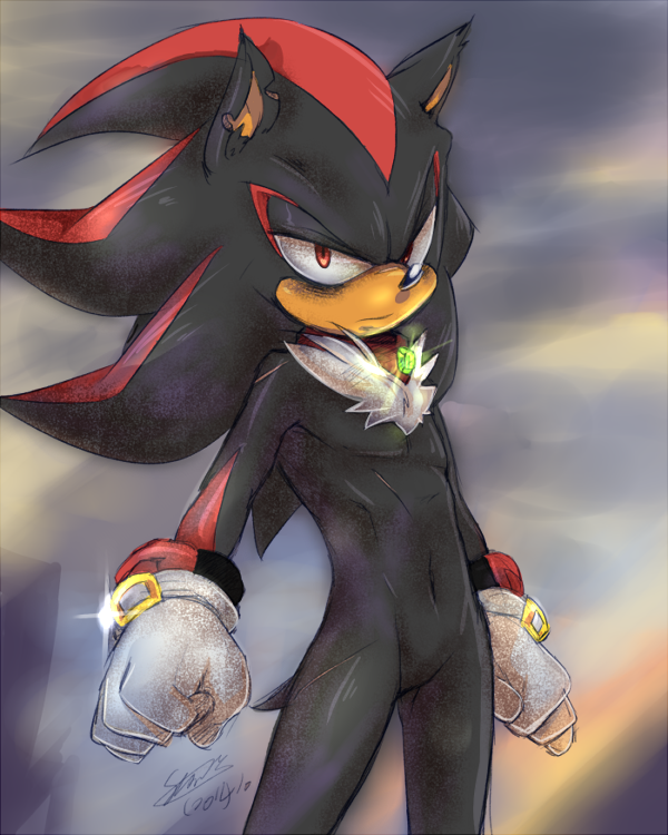 Making Hedgies Look Sexy is Hard Work!! by darkspeeds on DeviantArt.