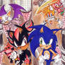 sonic heroes_hang casel Zone