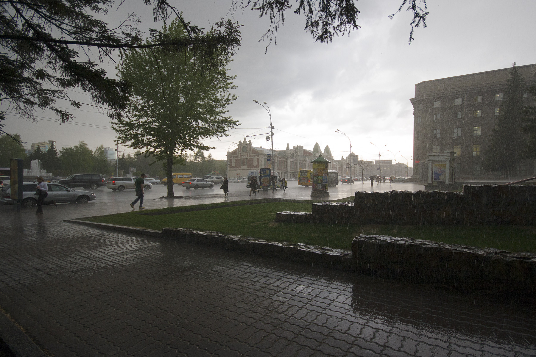 Rain in Novosibirsk