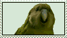 Parrot stamp