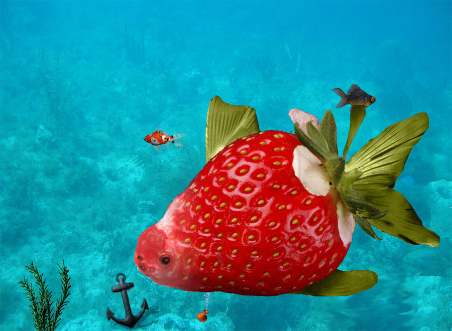 Strawfish by cashisclay on DeviantArt