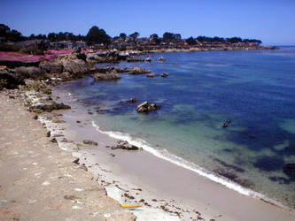 Beach in Monterey, California