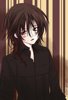 Vampire Knight- worried Kaname